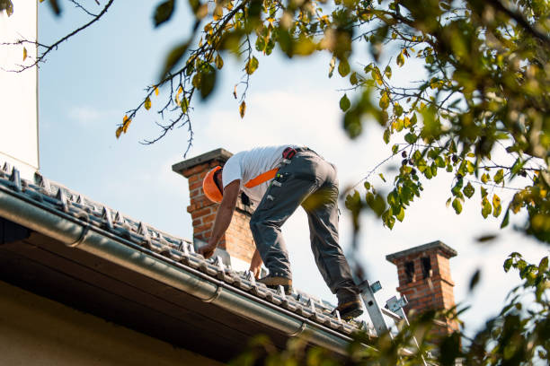 Gutter Installation and Roofing in Camden, TN
