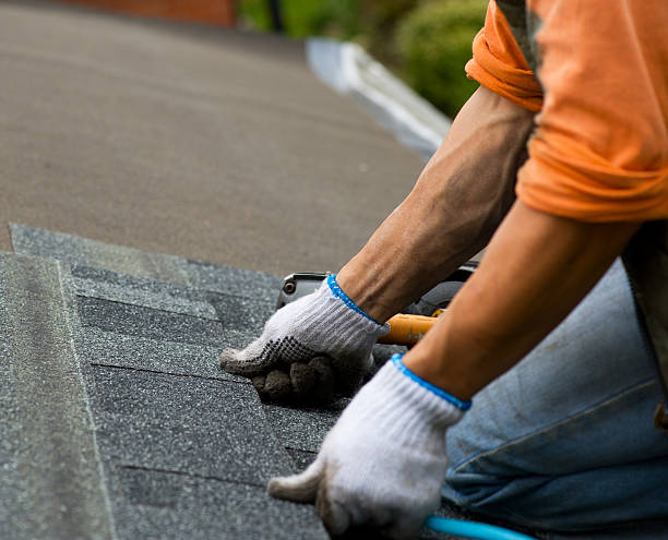 Best Roof Maintenance Services  in Camden, TN