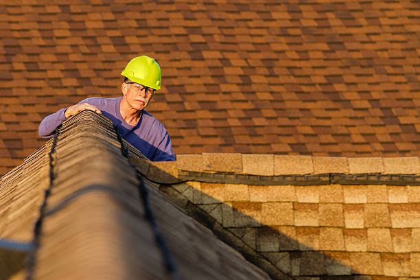 Best Roof Replacement Cost  in Camden, TN