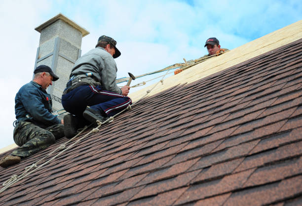 Best Roof Leak Repair  in Camden, TN
