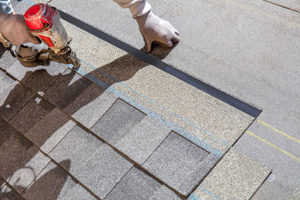 Best Roof Waterproofing Services  in Camden, TN