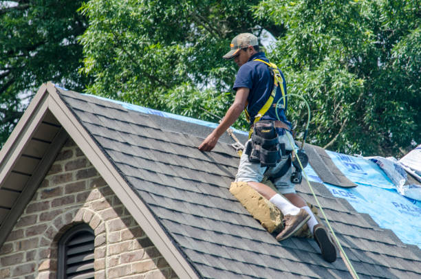 Best Roof Gutter Cleaning  in Camden, TN